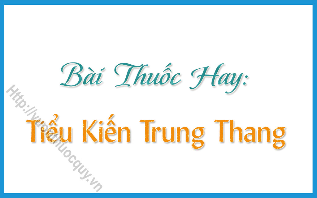 Vị thuốc trong Tiểu Kiến Trung Thang