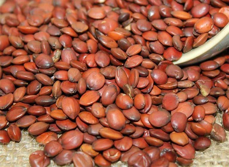 Toan Táo Nhân Thang trị mất ngủ
